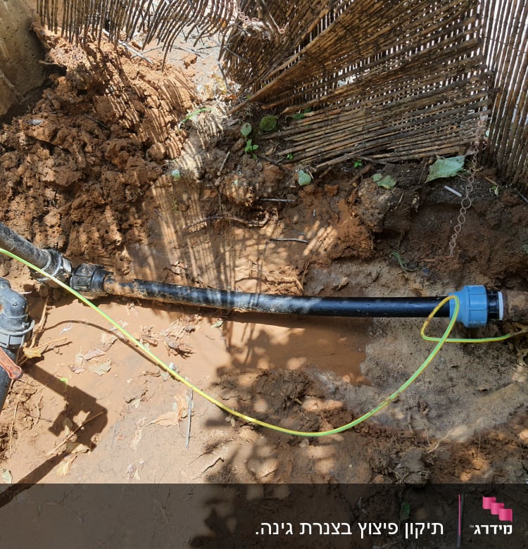 צינור מים שחור עם מחבר כחול באדמה